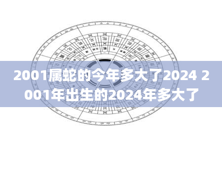 2001属蛇的今年多大了2024 2001年出生的2024年多大了