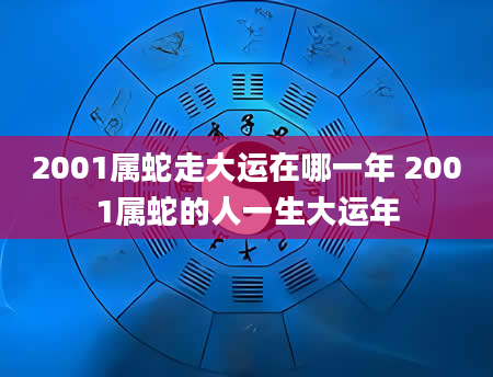 2001属蛇走大运在哪一年 2001属蛇的人一生大运年