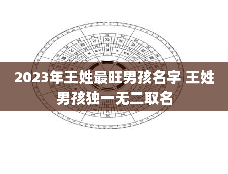 2023年王姓最旺男孩名字 王姓男孩独一无二取名