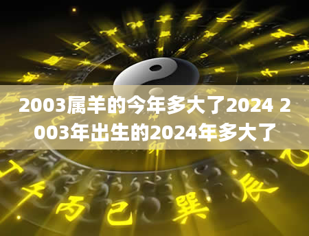 2003属羊的今年多大了2024 2003年出生的2024年多大了
