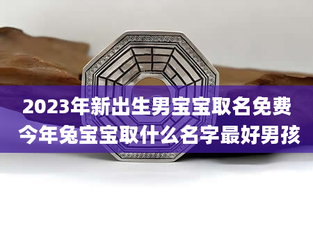 2023年新出生男宝宝取名免费 今年兔宝宝取什么名字最好男孩