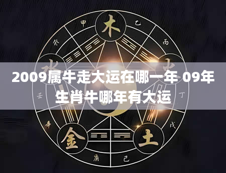 2009属牛走大运在哪一年 09年生肖牛哪年有大运