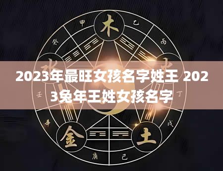 2023年最旺女孩名字姓王 2023兔年王姓女孩名字