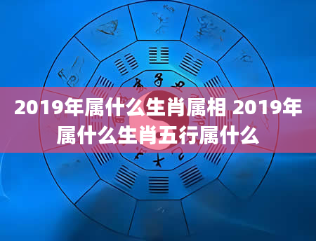 2019年属什么生肖属相 2019年属什么生肖五行属什么