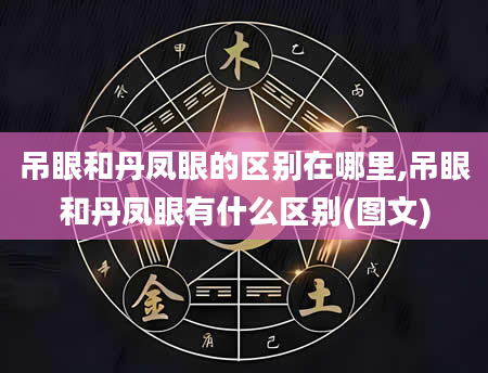 吊眼和丹凤眼的区别在哪里,吊眼和丹凤眼有什么区别(图文)