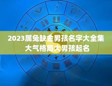 2023属兔缺金男孩名字大全集 大气格局大男孩起名