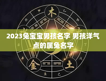 2023兔宝宝男孩名字 男孩洋气点的属兔名字