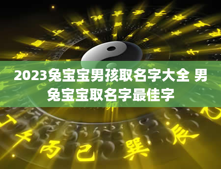 2023兔宝宝男孩取名字大全 男兔宝宝取名字最佳字