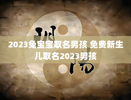 2023兔宝宝取名男孩 免费新生儿取名2023男孩