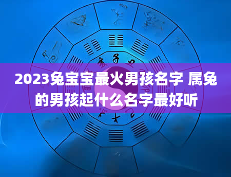 2023兔宝宝最火男孩名字 属兔的男孩起什么名字最好听