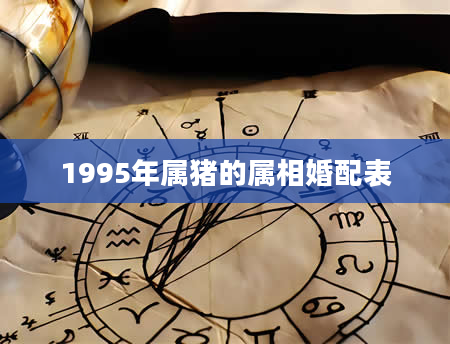 1995年属猪的属相婚配表