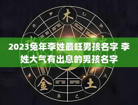 2023兔年李姓最旺男孩名字 李姓大气有出息的男孩名字