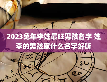 2023兔年李姓最旺男孩名字 姓李的男孩取什么名字好听