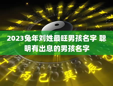 2023兔年刘姓最旺男孩名字 聪明有出息的男孩名字