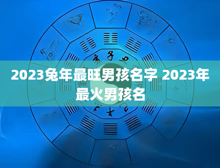 2023兔年最旺男孩名字 2023年最火男孩名