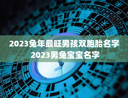 2023兔年最旺男孩双胞胎名字 2023男兔宝宝名字
