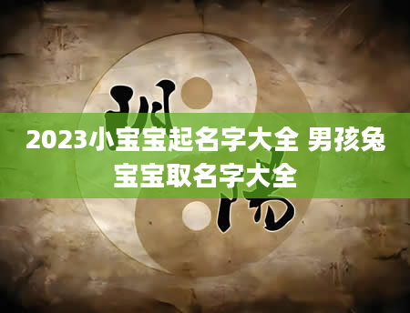 2023小宝宝起名字大全 男孩兔宝宝取名字大全