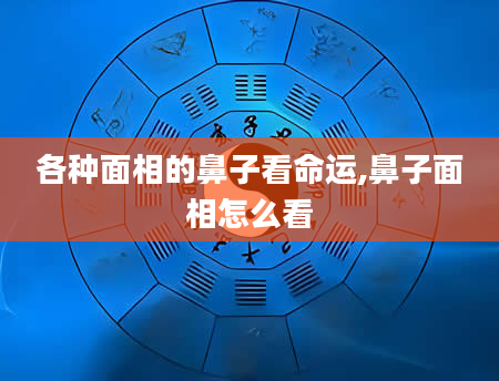 各种面相的鼻子看命运,鼻子面相怎么看