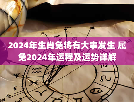 2024年生肖兔将有大事发生 属兔2024年运程及运势详解