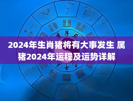 2024年生肖猪将有大事发生 属猪2024年运程及运势详解