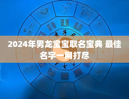 2024年男龙宝宝取名宝典 最佳名字一网打尽