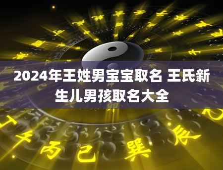 2024年王姓男宝宝取名 王氏新生儿男孩取名大全