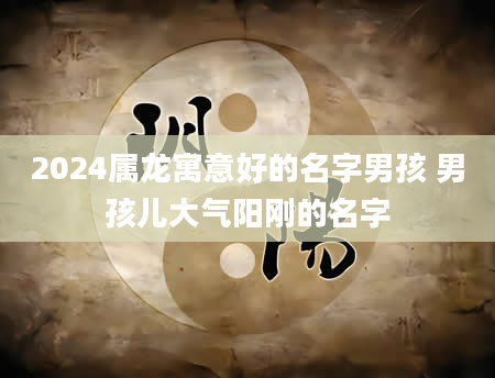 2024属龙寓意好的名字男孩 男孩儿大气阳刚的名字