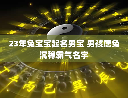 23年兔宝宝起名男宝 男孩属兔沉稳霸气名字