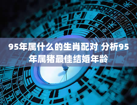 95年属什么的生肖配对 分析95年属猪最佳结婚年龄