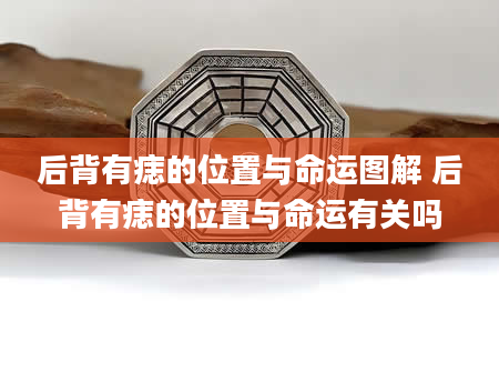 后背有痣的位置与命运图解 后背有痣的位置与命运有关吗