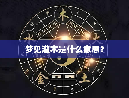 梦见灌木是什么意思？