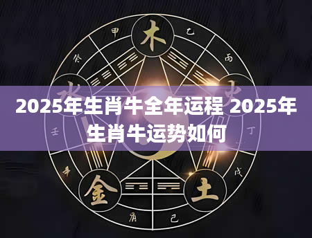 2025年生肖牛全年运程 2025年生肖牛运势如何