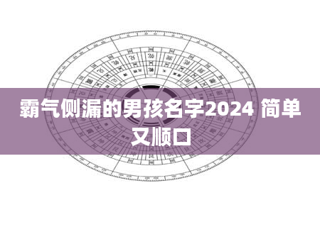 霸气侧漏的男孩名字2024 简单又顺口