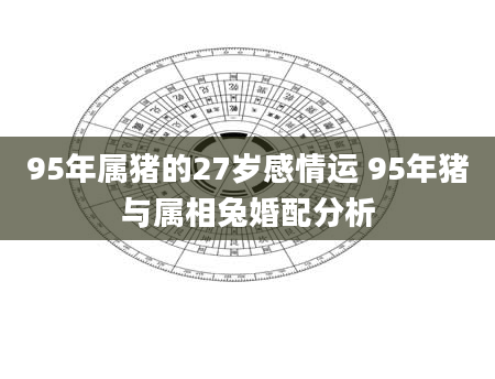 95年属猪的27岁感情运 95年猪与属相兔婚配分析