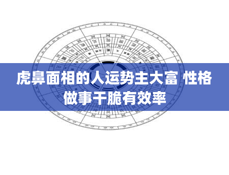 虎鼻面相的人运势主大富 性格做事干脆有效率