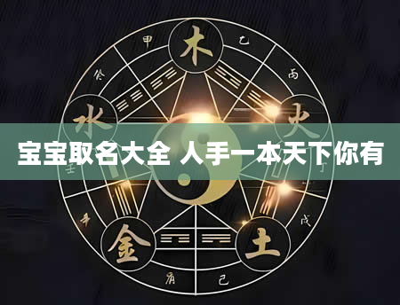宝宝取名大全 人手一本天下你有