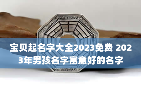宝贝起名字大全2023免费 2023年男孩名字寓意好的名字