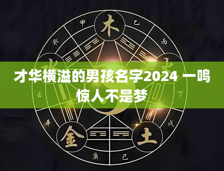 才华横溢的男孩名字2024 一鸣惊人不是梦