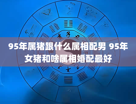 95年属猪跟什么属相配男 95年女猪和啥属相婚配最好