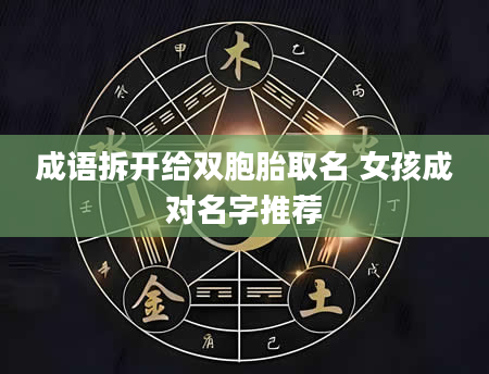 成语拆开给双胞胎取名 女孩成对名字推荐