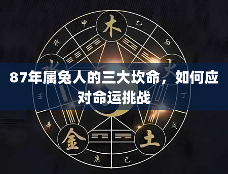 87年属兔人的三大坎命，如何应对命运挑战