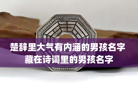 楚辞里大气有内涵的男孩名字 藏在诗词里的男孩名字