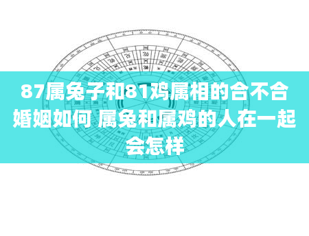 87属兔子和81鸡属相的合不合婚姻如何 属兔和属鸡的人在一起会怎样