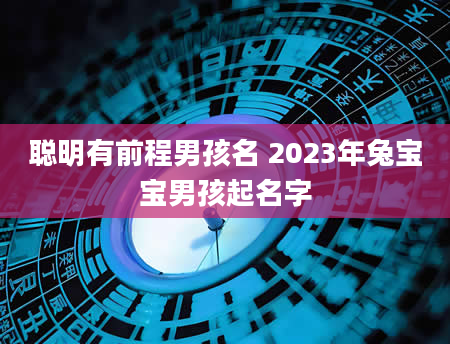 聪明有前程男孩名 2023年兔宝宝男孩起名字