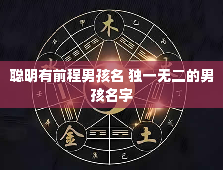 聪明有前程男孩名 独一无二的男孩名字