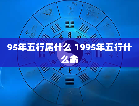 95年五行属什么 1995年五行什么命