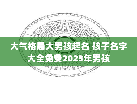 大气格局大男孩起名 孩子名字大全免费2023年男孩