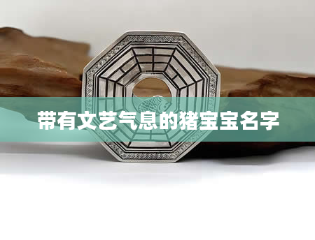 带有文艺气息的猪宝宝名字