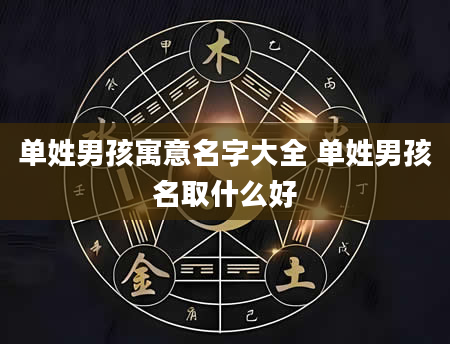 单姓男孩寓意名字大全 单姓男孩名取什么好