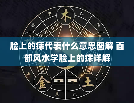 脸上的痣代表什么意思图解 面部风水学脸上的痣详解